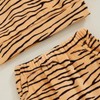 Licupiee Infant Boys Tiger Pants Set Striped Long Sleeve Hooded