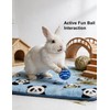 Rabbit Toys 10-Pack with Jingle Bells, Interactive Cage Enrichment Balls