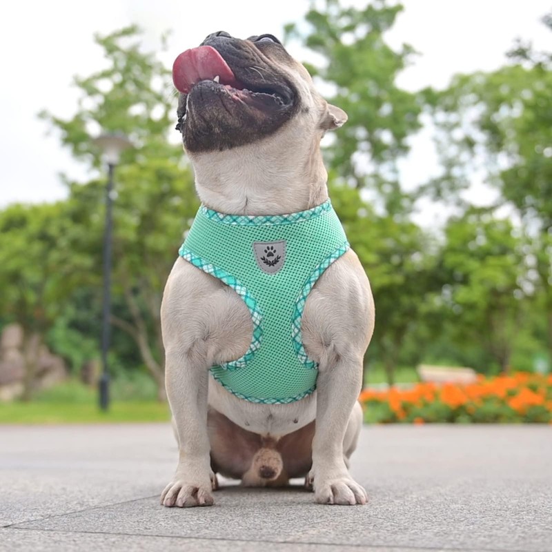 BINGPET Adjustable Dog Vest Harness and Leash Set,No Pull &