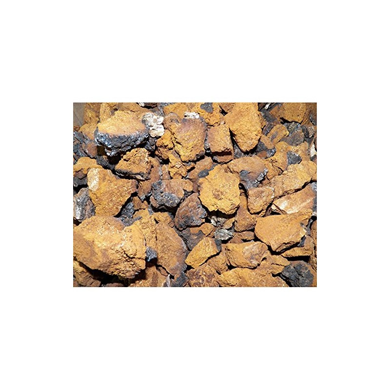 Dried Chaga Mushrooms Ground - 8 Ounce