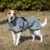 Back on Track Bark Allround Dog Coat 40 cm Grey