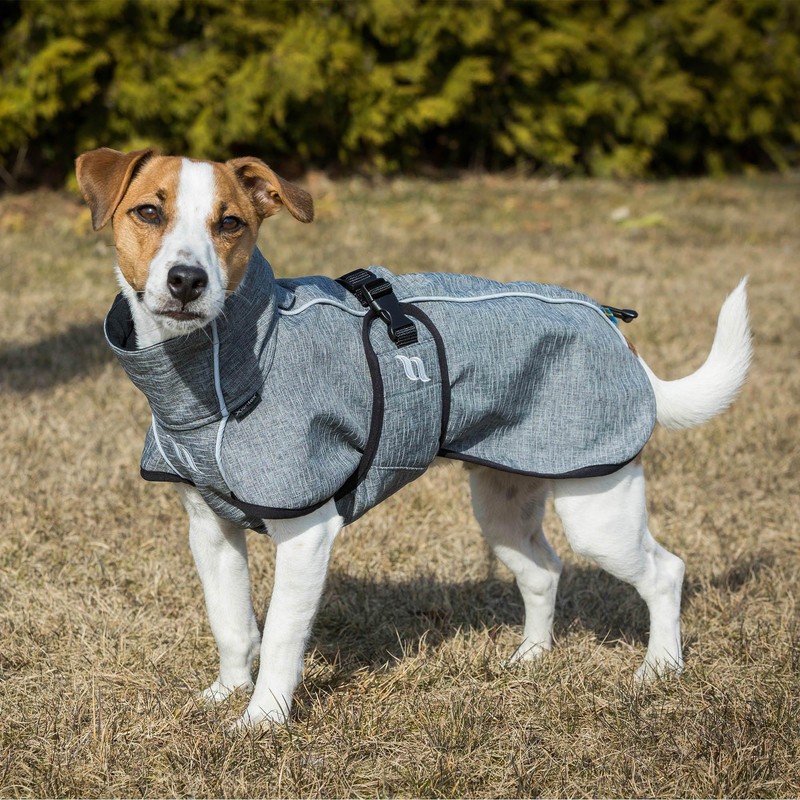 Back on Track Bark Allround Dog Coat 40 cm Grey