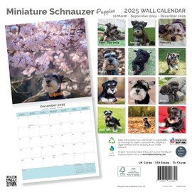 Baker and Bray Miniature Schnauzer Puppies Calendar 2025, Large Square Wall Calendar, 16 Month, Miniature Schnauzer Puppies Gift Dog Calendar.
