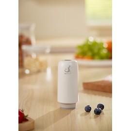 SEALIT Vacuum Seal Glass Food Container (Electric Pump)