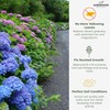 GARDENWISE Slow Release Hydrangea Fertilizer with Iron & Sulfur –