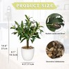 DILATATA Faux Olive Tree Artificial Potted Olive Tree 12" Fake