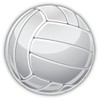 Zirni Volleyball Sport Ball Sticker Decal Design