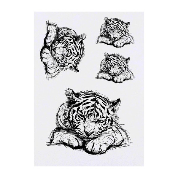 4 x 'Cute Sleepy Tiger Cub Sketch' Temporary Tattoos -