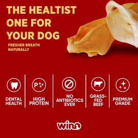 WINO - Ear for Dogs (4 Big Pieces) -Fully Digestible, Odor Free Chews, Supporting Dental Health, 100% Beef Hight Protein, Delicious Dog Snacks, Reducing Destructive Chewing