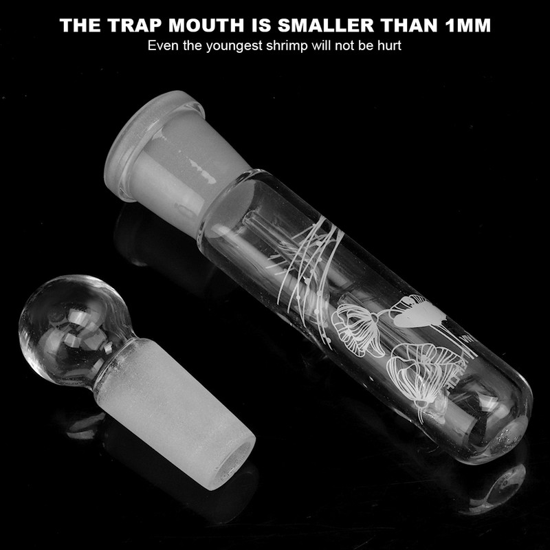 Fish Grass Tanks Glass Beautiful Planarian Catcher High Hardness Lasting