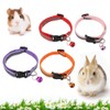 4 Pack Rabbit Adjustable Collars with Bell, Guinea Pig Dragon