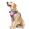 WINSEE Dog Harness No Pull, Pet Harnesses with Dog Collar,