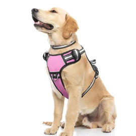 WINSEE Dog Harness No Pull, Pet Harnesses with Dog Collar, Adjustable Reflective Oxford Outdoor Vest, Front/Back Leash Clips for Small, Medium, Large, Extra Large Dogs, Easy Control Handle for Walking