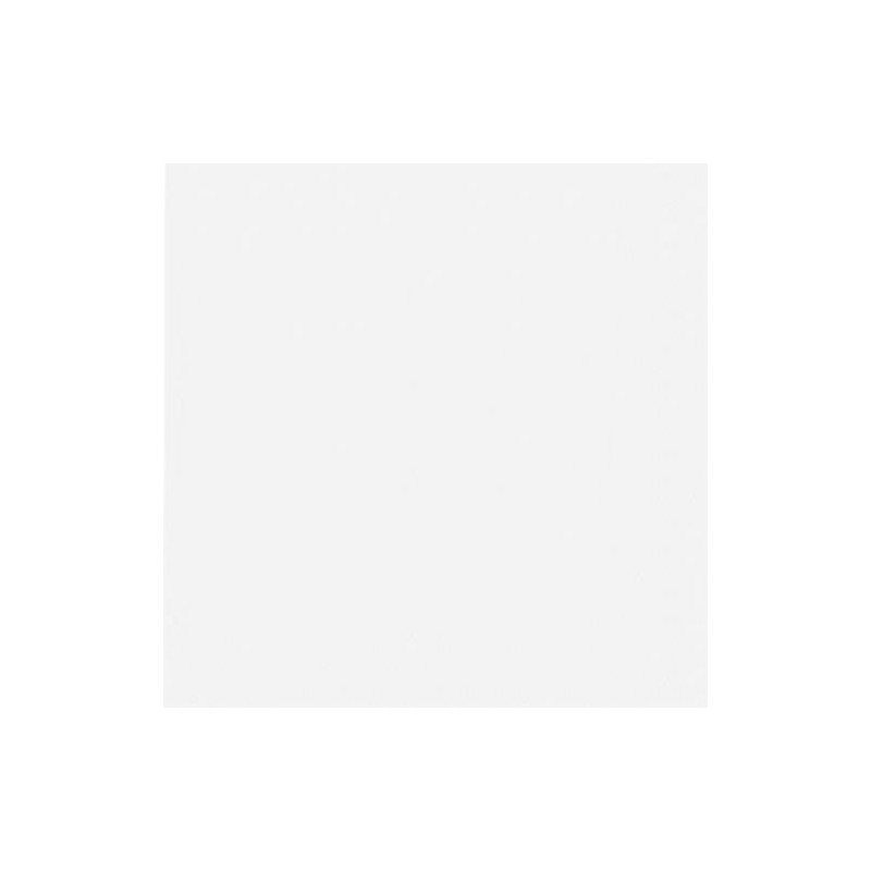 Napkins 2-Ply 40 x 40 cm / White / (Pack