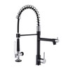 Fapully Kitchen Sink Faucet, Pull Down Kitchen Faucet, Black and