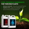 Humboldts Secret pH Up and pH Down Control Kit |