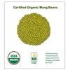 Whole dried Organic Mung Beans aka 'Green Gram' 'Maash' 'Moong'