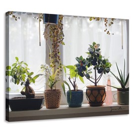 Bathroom Plants Picture Wall Art Windowsill Scenes Green Plant Photos on Canvas Simple fresh Home Walls Decor 15 x 12