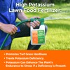 Simple Lawn Solutions - High Potassium Lawn Food Liquid Fertilizer
