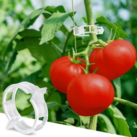 Tomato Clips for String Trellis, Plant Support Clips, Plastic Trellis Clips, Secure Your Plants with Versatile Plant Fixing Clips, Makes Plants Healthier for Tomato… (150, White)