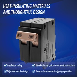 2100 2-Pole 100-Amp Circuit Breaker, Type 3/4-In Plug-On Molded Case Circuit Breaker, Thermal Magnetic Protection, 10 KAIC, 120/240V, fit for Load Centers