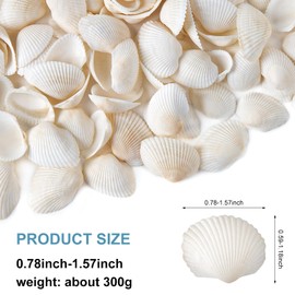QEQEKAKA White Sea Shells for Decorating About 140~160pcs Natural Tiny Seashells for Crafting, Home Decor, Vase Filler, Wedding Centerpiece, Christmas, Craft, Candle Making Seashell Bulk