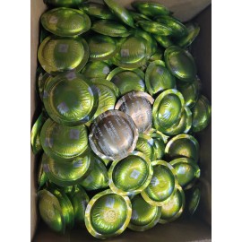 Origins Nespresso 200 FINEZZO &100 STARBUCK BLOLDE ESPRESSO ROAST 300 Professional  BULK