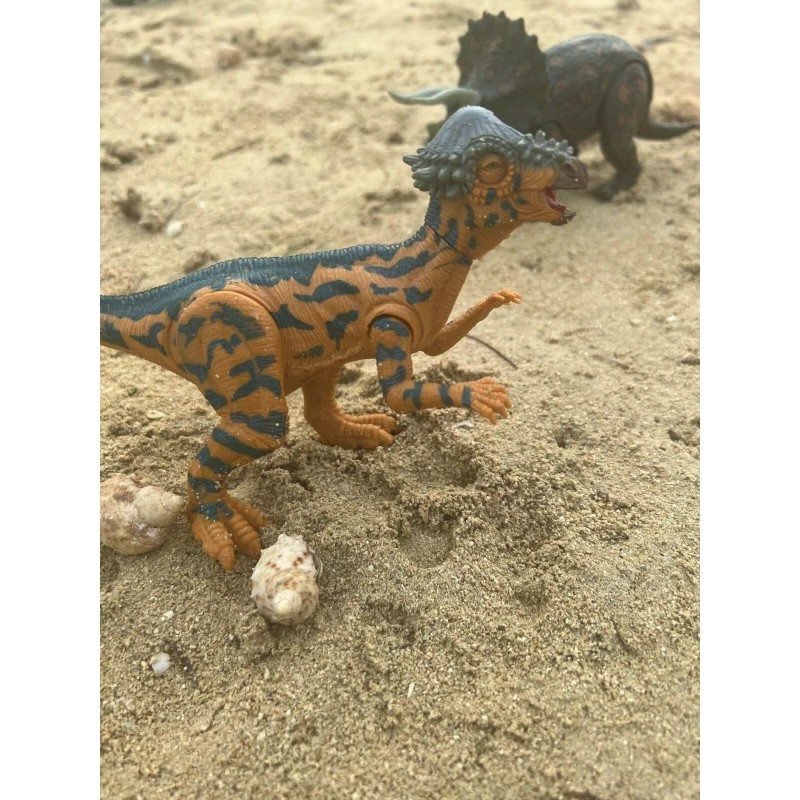 Kid Galaxy Amazing Detail PACHYCEPHALOSA