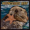 Monterey Bay, California, Mosaic, Otter (Absorbent Ceramic Coaster, Single, Cork
