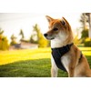 Ziggy Pet Dog Harness Adjustable Nylon Mesh Vest with Leash