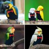 XQIGI Bird Diaper Washable Parrot Diapers Reusable Bird Flight Suit