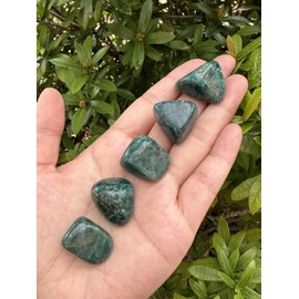 GAF TREASURES 5 Pcs Apatite Tumbled Stones, Polished Apatite Gemstone, Apatite Healing Crystals (Apatite)
