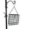 BTEXPERT 6-Hook Bird Bath Feeding Station Kit, 4 Wild Bird