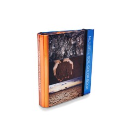 Pantone M50215B Suolo Colore Libro