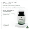 SOD Plus (Superoxide Dismutase) Capsules 275mg - Antioxidant Blend with