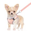 DoggieKit Dog Harness for Small Medium Dogs No Pull Adjustable