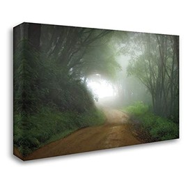 ArtDirect Jones, Mike 24x17 Gallery Wrapped Canvas Museum Art Titled: Road to Nowhere
