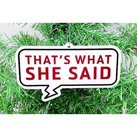 The Office Themed Christmas Ornament - That's What She Said