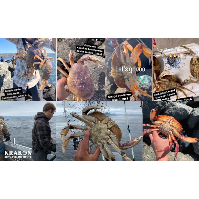 KRAKEN SUPPLY CO 3 Pack Crab Snare Trap Loop Trap