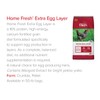Home Fresh Extra Egg Layer Crumbles 50lb Chicken Feed