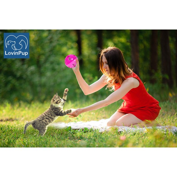 LOVINPUP Cat Ball Toy with Bell Larger Size, Bells Jingle