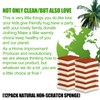 Natural Plant Based Scrub Sponge 12 Pack, Palm Fiber Scrubbing