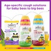 Zarbee's?s Kids Cough + Immune Daytime for Children 2-6 with