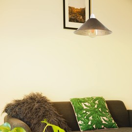 Vintage Retro Light Shade, Metal Cone Lampshade, Easy Fit Industrial 22cm Lamp Shade, 4cm E27 Pendant Hole for Kitchen, Living Room, Hallway (Brushed Copper)