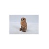 Hi-Line Gift Ltd Tawny Owl on Stump, 6.75", Brown
