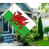 Welsh Flag,3x5 FT Wales Dragon Flag,36x60 Inch Large Digitial Double-Printed