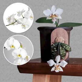 Handmade Embroidery Plants Fridge Magnets, Artificial Flowers Phalaenopsis Schilleriana Fridge Magnet for Magnetic Boards, Fridge, Home and Office Decoration (White)