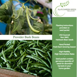 Provider Bush Green Bean Seeds (Phaseolus vulgaris) – 30+ Non-GMO Heirloom by Isla’s Garden, Early Harvest Variety with Tender Pods, Ideal for Raised Beds, Rows & Backyard Growing