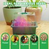 5Sets Seed Starter Tray with Grow Light, Elevated Seedling Starter
