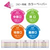 Nagatoya Shoten Color Paper Na-4206 B5 Medium Thickness, 100 Sheets